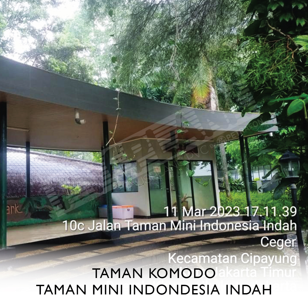 taman_komodo_taman_mini_indonesia_indah